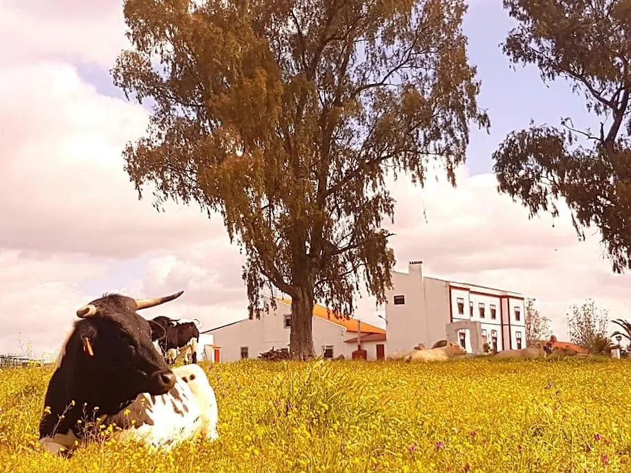 Finca Los Llanos Atalaya  0*, Atalaya (Badajoz) Spain