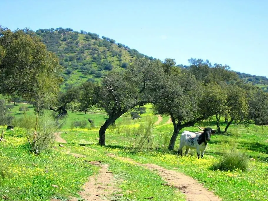 Holiday home Finca Los Llanos Atalaya