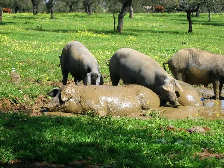 Finca Los Llanos Atalaya  Holiday home