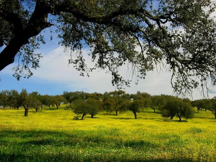 Finca Los Llanos Atalaya  Spain