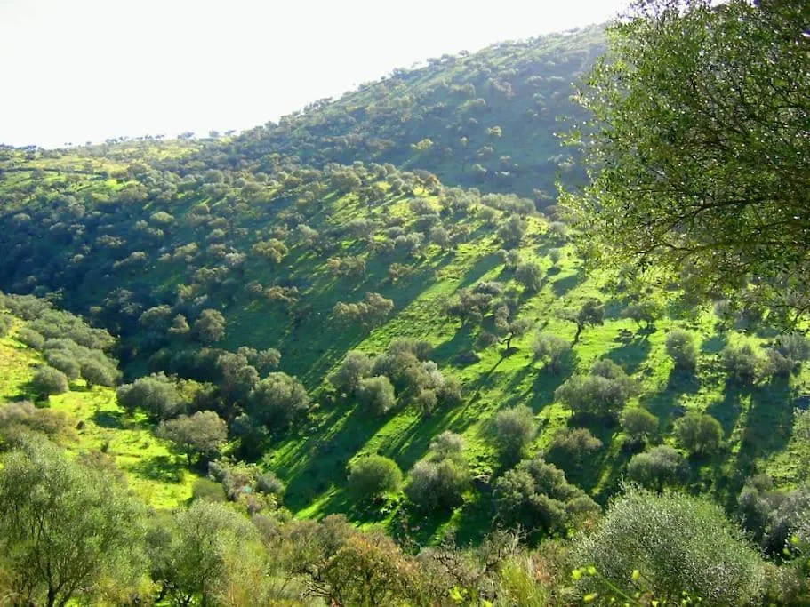 Finca Los Llanos Atalaya  0*, Atalaya (Badajoz) Spain