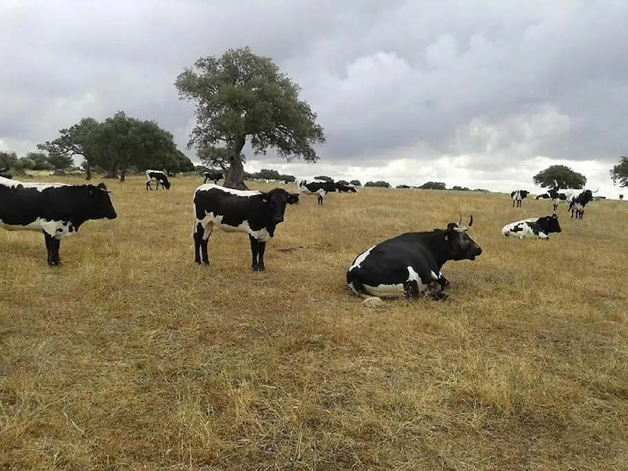 Finca Los Llanos Atalaya  Atalaya (Badajoz)