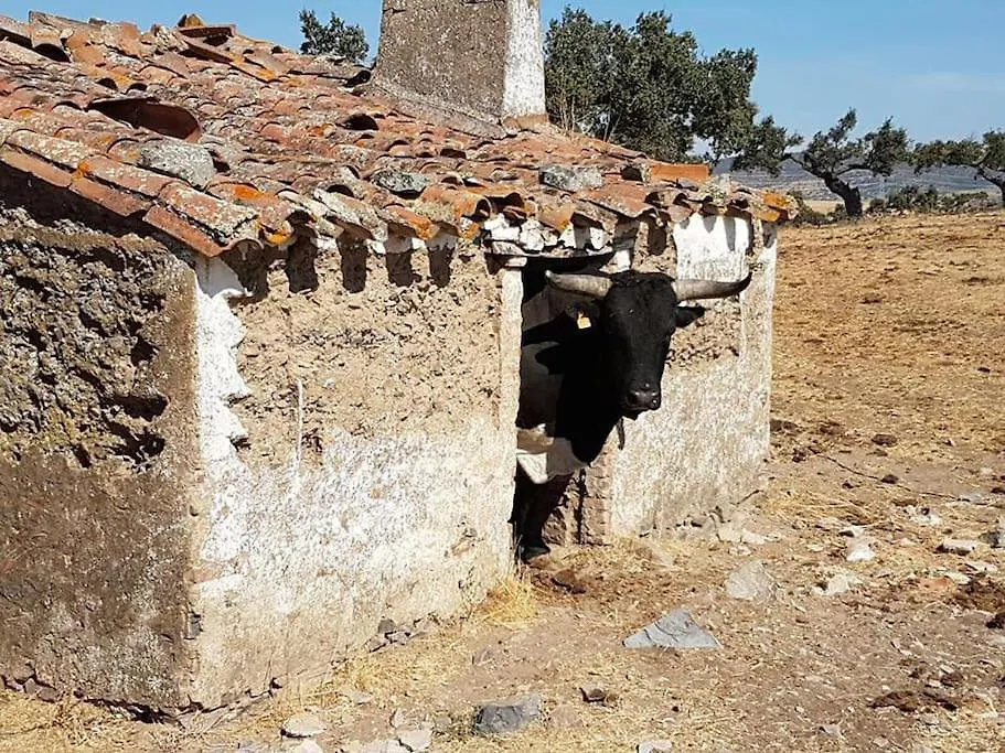 Finca Los Llanos Atalaya